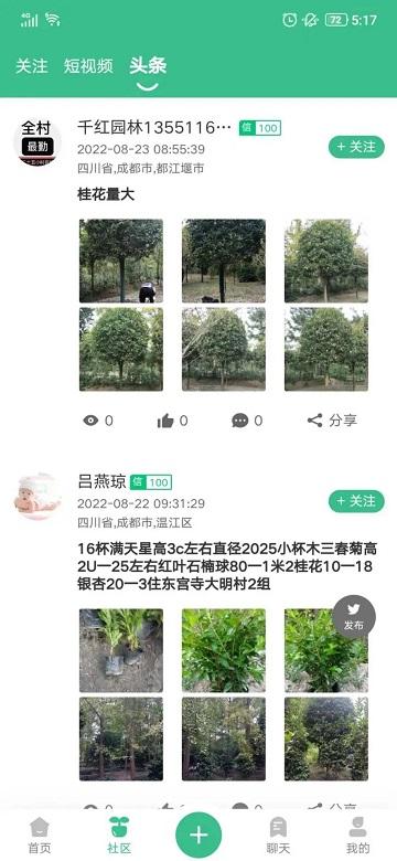 古树之道苗木平台下载,树之道,园林app,绿化app